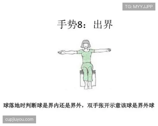 争议球处理规则怎么判？最新判罚标准解析